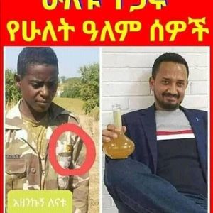 Meet your Posher, Tedy